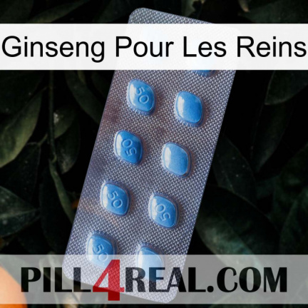 Ginseng For Kidney viagra3